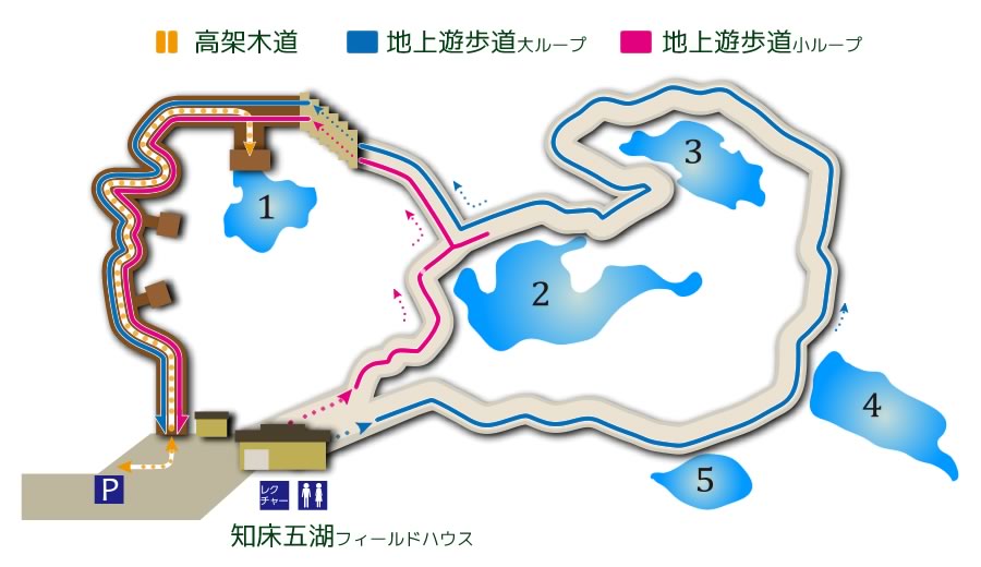 知床五湖の地図