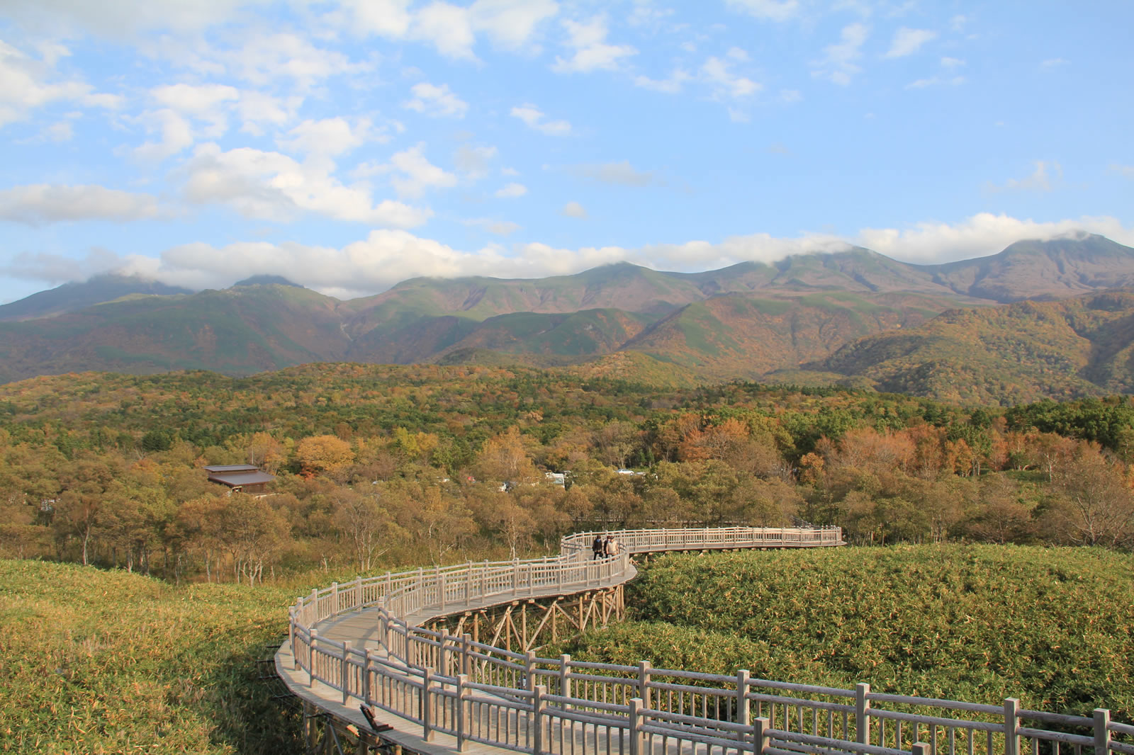 木制的高架路 知床五湖