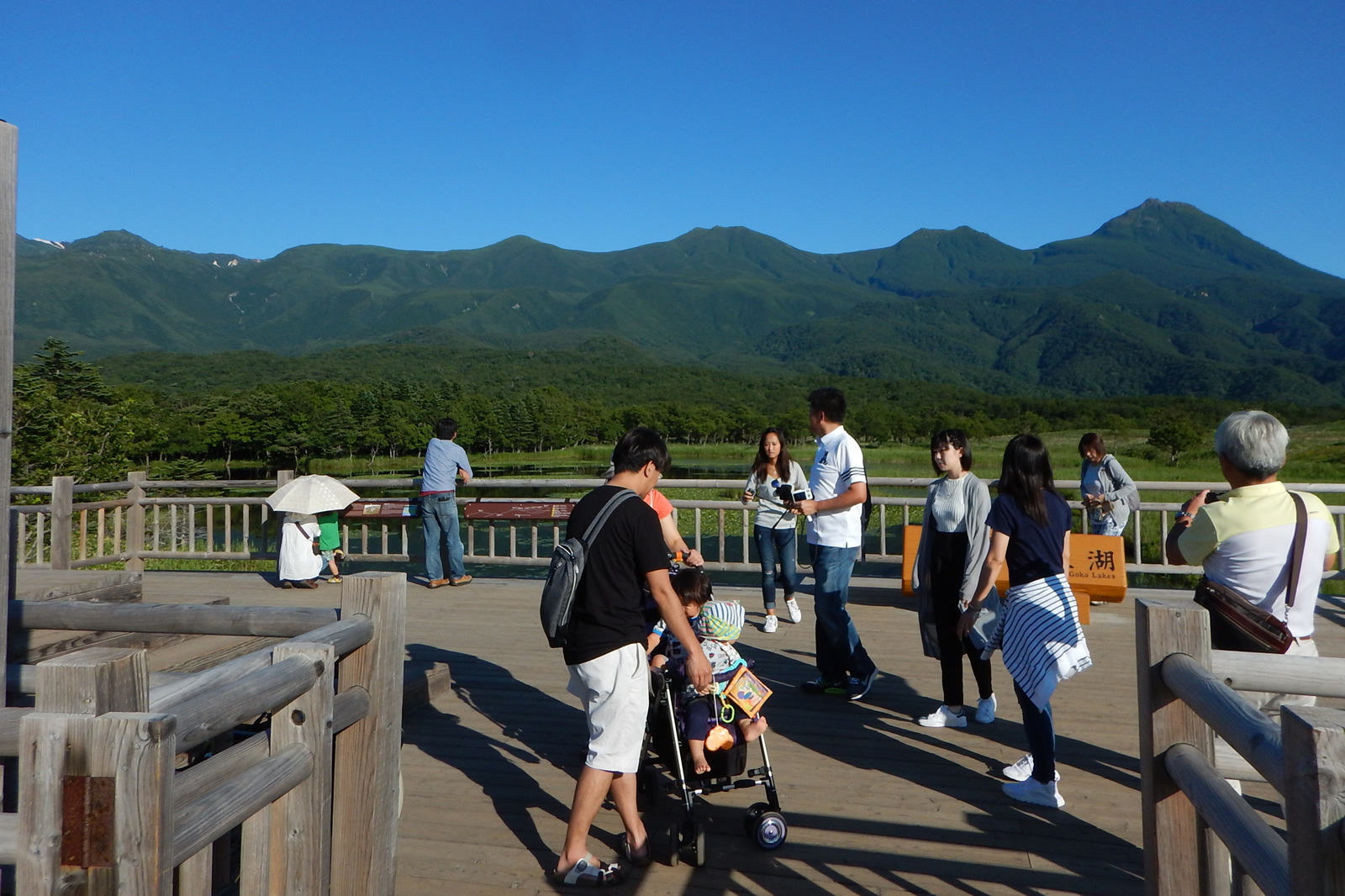 木制的高架路 知床五湖